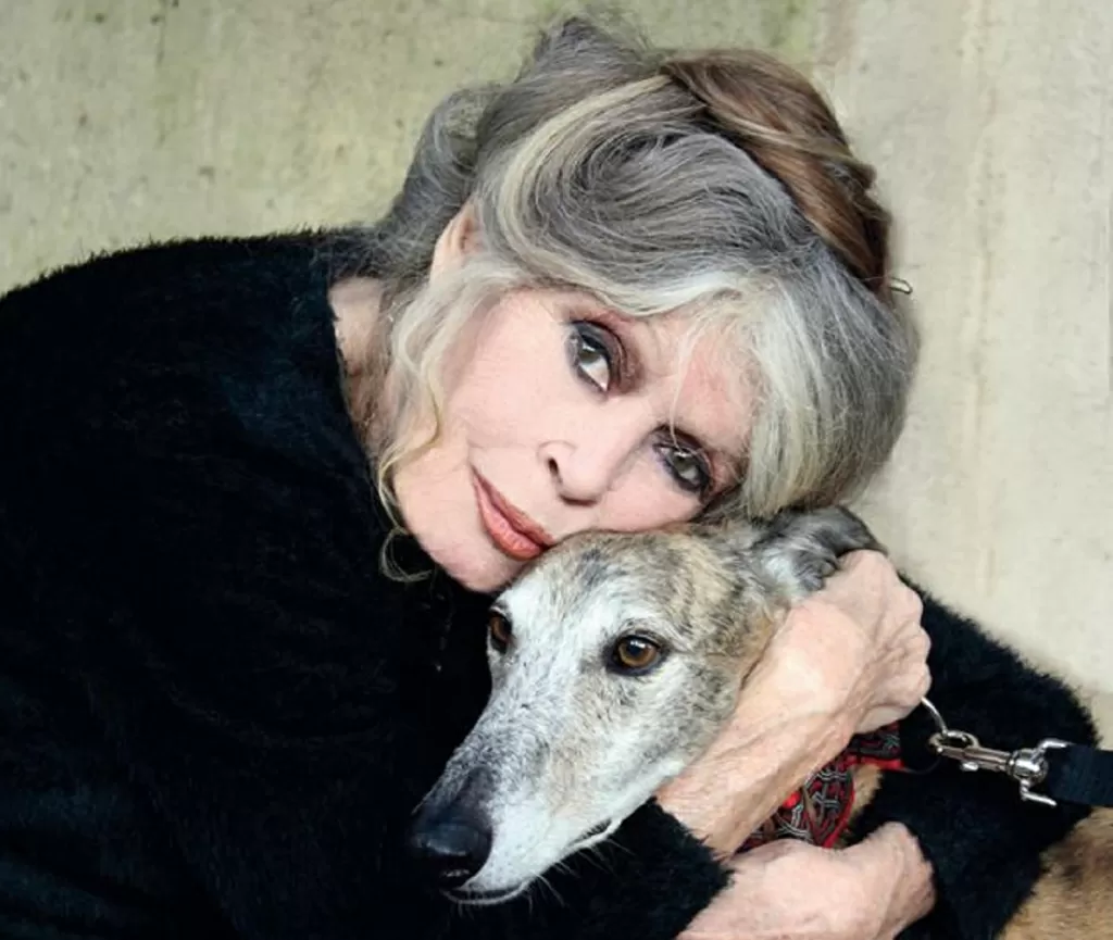Funeral de Brigitte Bardot acontecerá em janeiro e será transmitido em telões