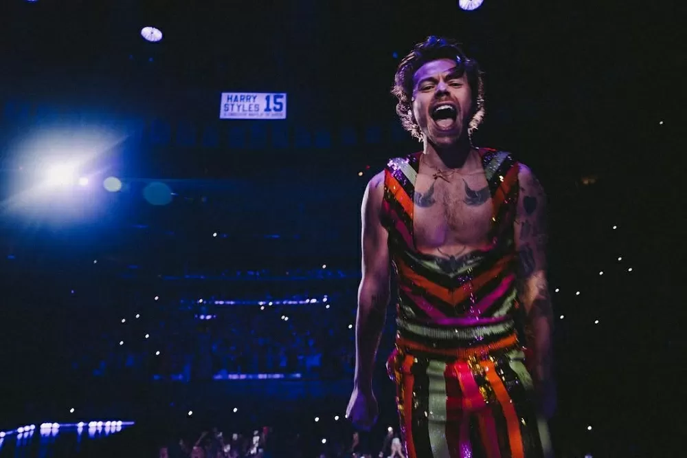 Deputados pedem investigação sobre pré-venda para show de Harry Styles em SP