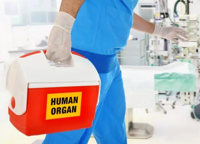 Transplante de órgãos: 2023 teve o maior número de doações em 10 anos