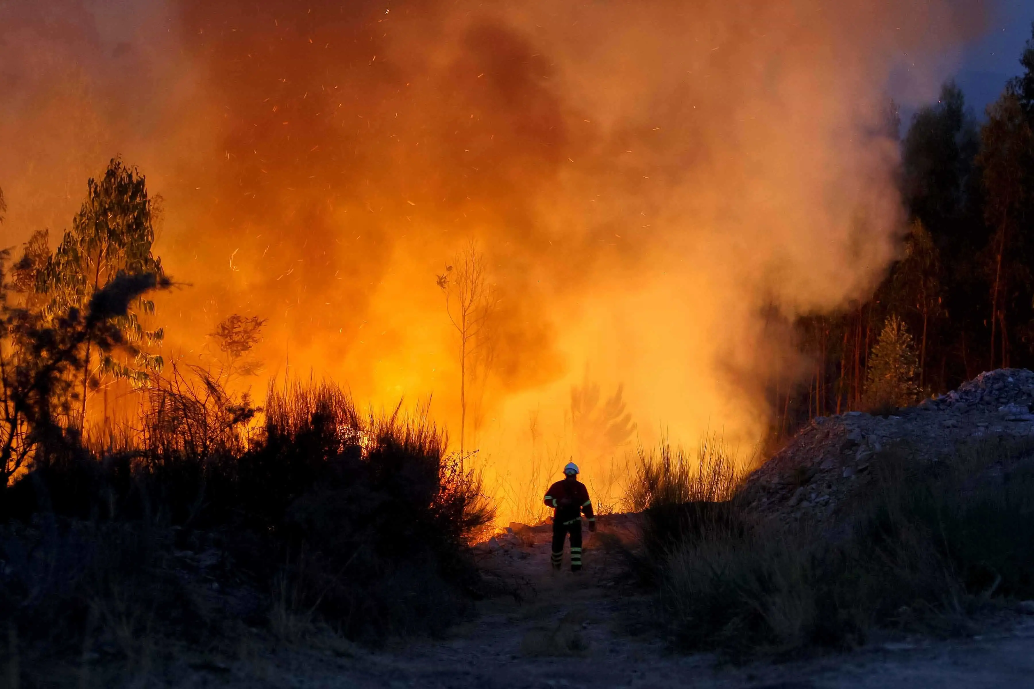 Cientistas projetam robô para combater incêndios inspirado em dragões