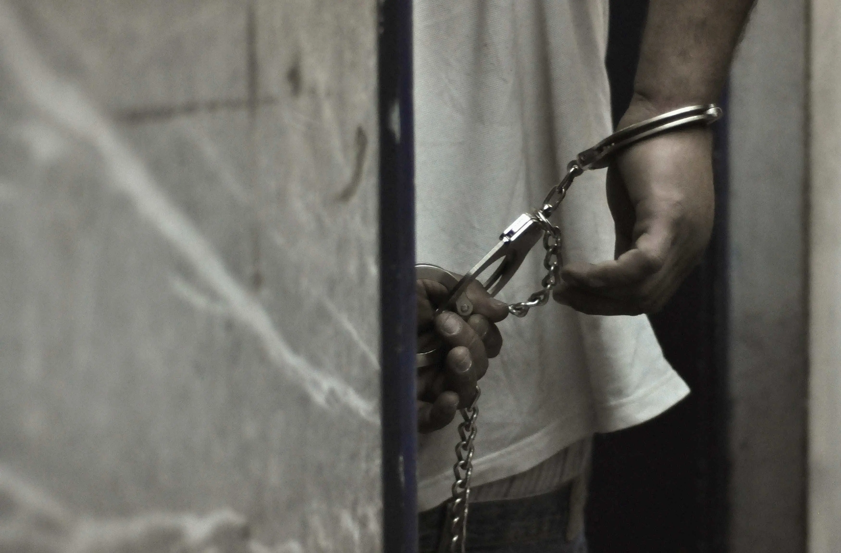 Irmãos detidos em França após descoberta de ossadas humanas em jardim