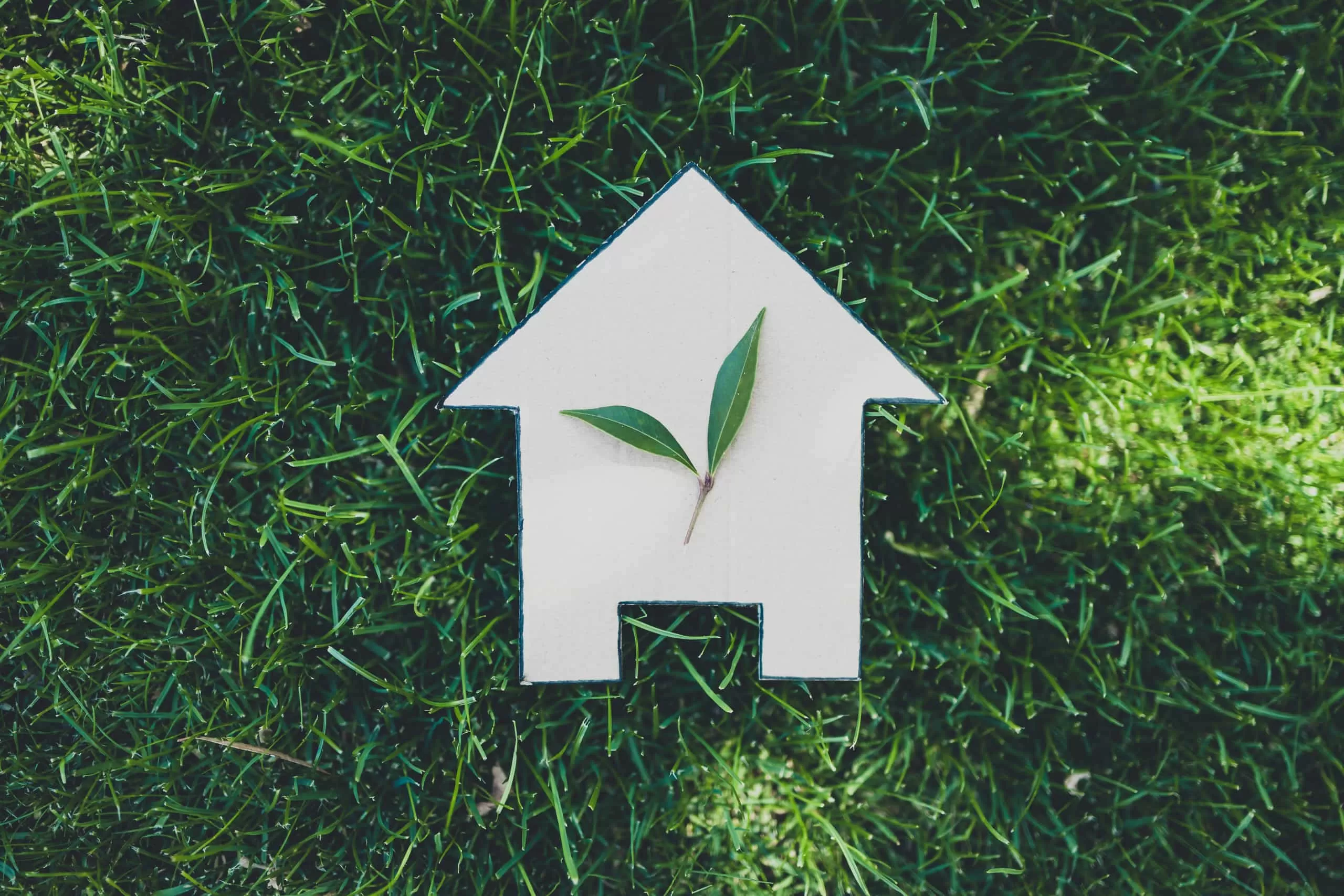 Relatório de sustentabilidade? Empresas estrangeiras podem adiar 2 anos