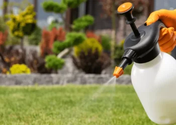 Por que pesticida eleva risco de Parkinson? Explicação é genética