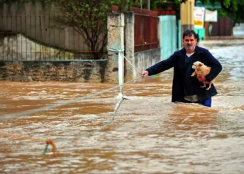Entenda riscos da leptospirose e como se prevenir em enchentes e fortes chuvas