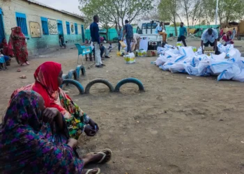 Sudão. Fome "iminente" pode matar 7.000 novas mães nos próximos meses
