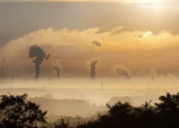 Nova Zelândia cancela taxa para gases de animais