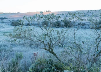 Onda de frio atinge Sul e impacta Sudeste e Centro-Oeste do Brasil