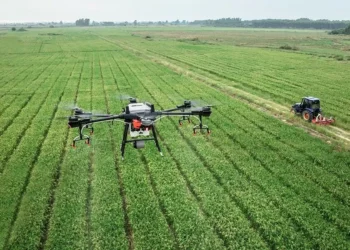 Agro planeja manter ou elevar gastos com biológicos
