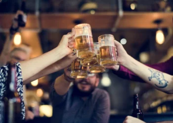 Cientistas deixaram moscas bêbadas para entender melhor o ser humano