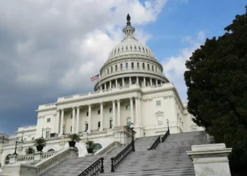 “A importância da Política na sociedade”