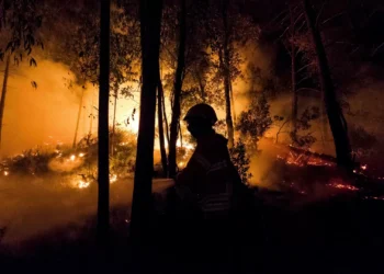 PS de Arcos de Valdevez defende emparcelamento para combater fogos