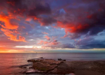 “El Futuro Inmobiliario de la Costa del Sol”