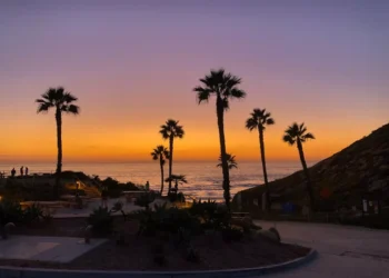 “Priorizando a saú em meio ao caos”