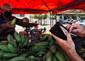 “A Importância da Economia em Nossas Vidas”