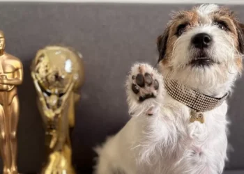 Cães de ‘Ainda Estou Aqui’ vencem ‘Oscar canino’ por atuação no filme