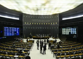 Renovação ou perpetuação? Reflexões sobre a dinâmica dos partidos e o futuro da democracia