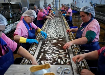 Custos do trabalho sobem 3,7% na zona euro e 9,6% em Portugal no 4.º trimestre