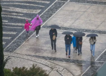 Depressão Jana. Proteção Civil registou 744 ocorrências desde sexta-feira