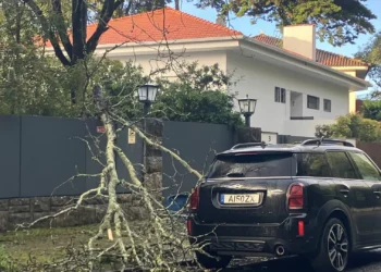 Depressão Martinho. Seguradoras registaram 28 milhões de euros em danos