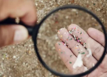 O que é microplástico?