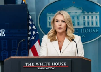 Tensão entre Navarro e Musk (que insulta)? “Rapazes serão sempre rapazes”