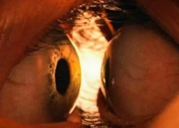 ‘Juntos’, filme apontado como o ‘melhor terror do ano’, ganha primeiro trailer nacional