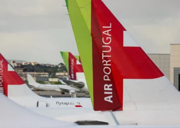 ​TAP rejeita transportar na cabine cão de assistência a criança com autismo. Voo é cancelado