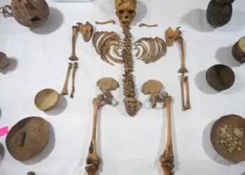 Múmia de mais de mil anos é descoberta por acaso por trabalhadores em Lima