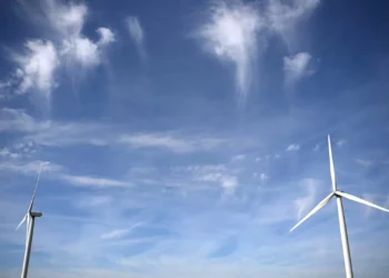 Energia eólica cresce, mas Portugal continua longe das metas climáticas