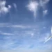 Energia eólica cresce, mas Portugal continua longe das metas climáticas