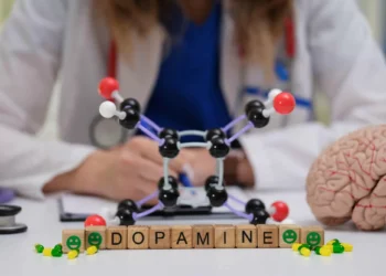 Nova descoberta sobre a dopamina revoluciona entendimento do cérebro