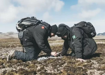 Brasileiros descobrem novas espécies de cogumelos na Antártica