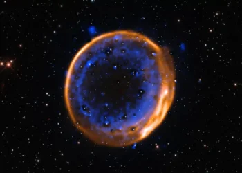 Entrevista: a estrela inédita que morreu duas vezes