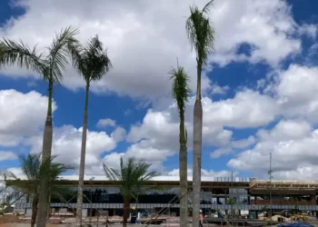 ONU cobra do Brasil plano de hospedagem para a COP30