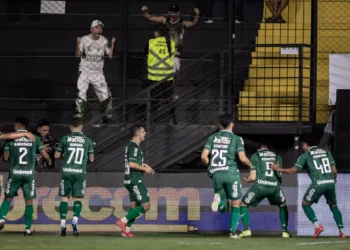 Série B: Chapecoense goleia o Athletic fora; Criciúma vence o Novorizontino e dorme no G-4