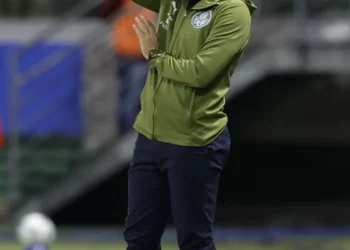 Palmeiras bate Botafogo e Abel Ferreira ‘aperta’ com Leonardo Jardim