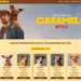 Netflix lança campanha de incentivo à adoção de cães para promover o filme ‘Caramelo’