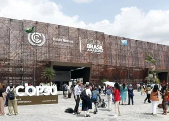 COP30 entre entregas e desafios