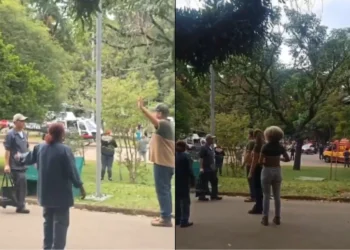 Mulher sofre traumatismo crânio encefálico após ser atingida por árvore no Parque Ibirapuera