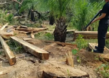 Acordo Mercosul–UE e o peso da agenda ambiental