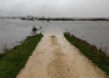 Ministro anuncia linha de apoio de 40 milhões para agricultores