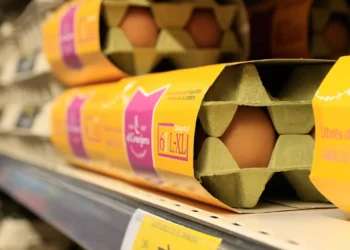 Meia dúzia de ovos mais cara 50 cêntimos desde 2025