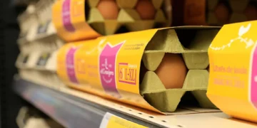 Meia dúzia de ovos mais cara 50 cêntimos desde 2025