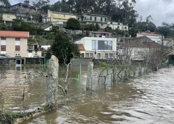 CAP alerta. Culturas de Primavera e Verão podem estar em risco
